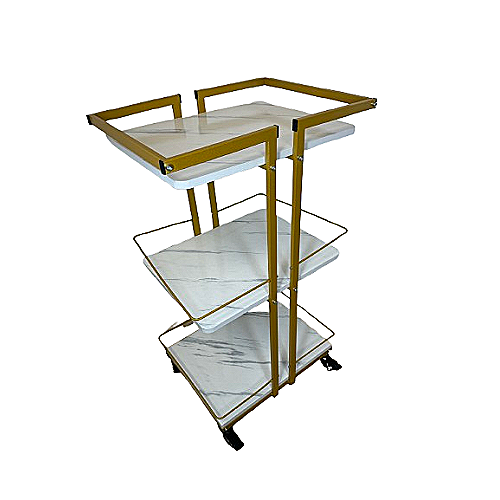 Kolica za odlaganje X076-1 s dvije police i kotačićima za kozmetički salon