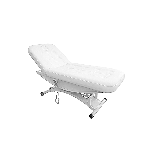 profesionalni električni masažni stol s dva motora i PU presvlakom